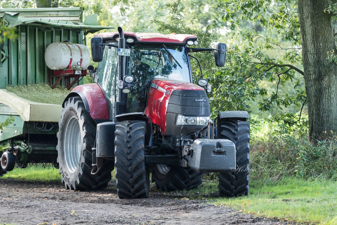 Bild 190 - Maisernte